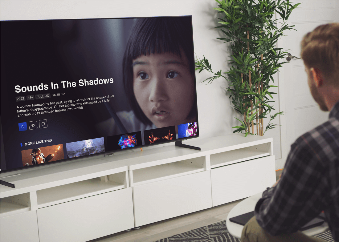 Roku Streaming Platform