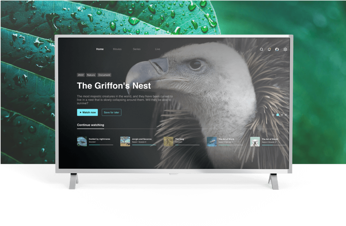 Ott Streaming Platform