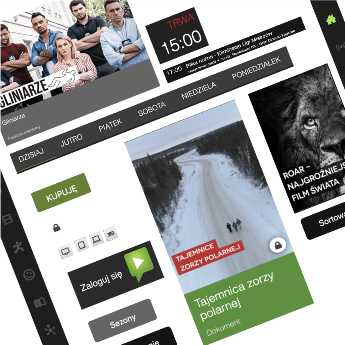 streaming platform on Roku TV